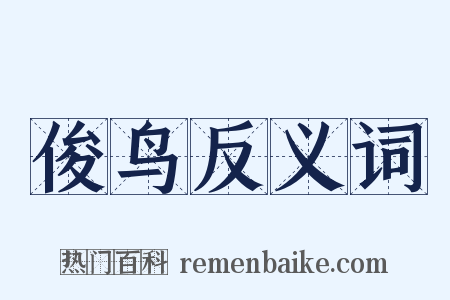 俊鸟反义词是什么意思的图片